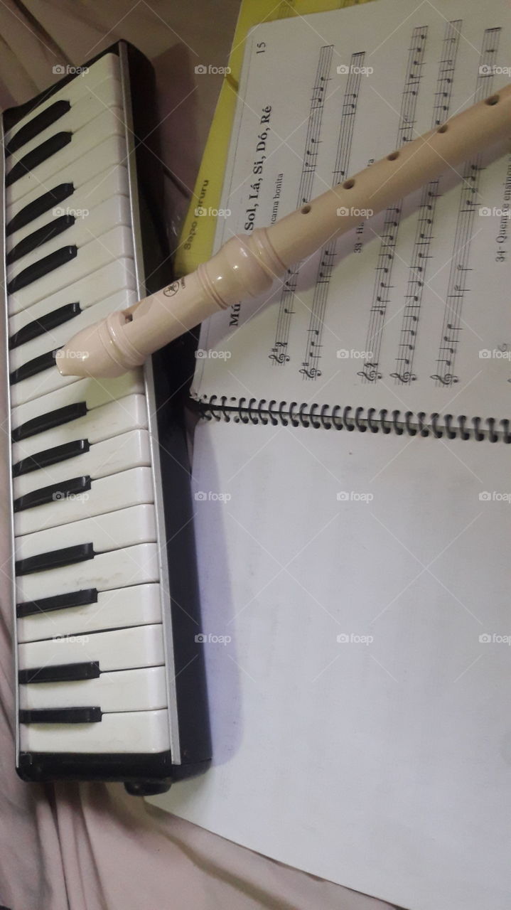 Olhar de um estudante de música, livro de partitura com uma flauta doce e uma escaleta ou melódica.