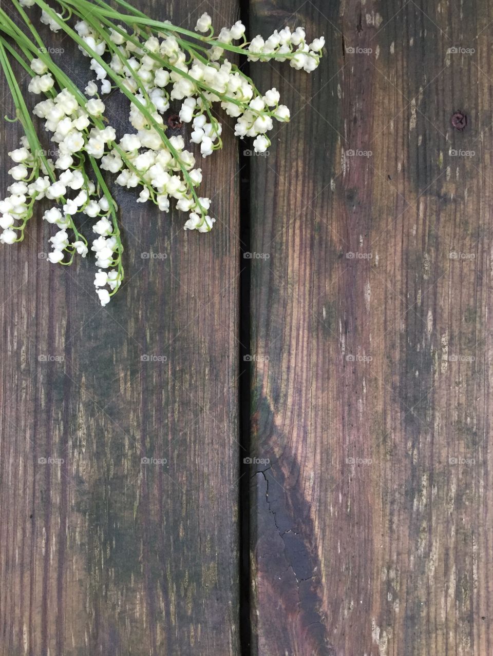 Lily of the valley flat lay on a dark, rustic, wooden surface (portrait)