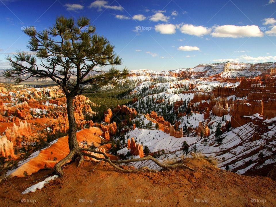 Alone on the Rim, Bryce Canyon National Park, Utah