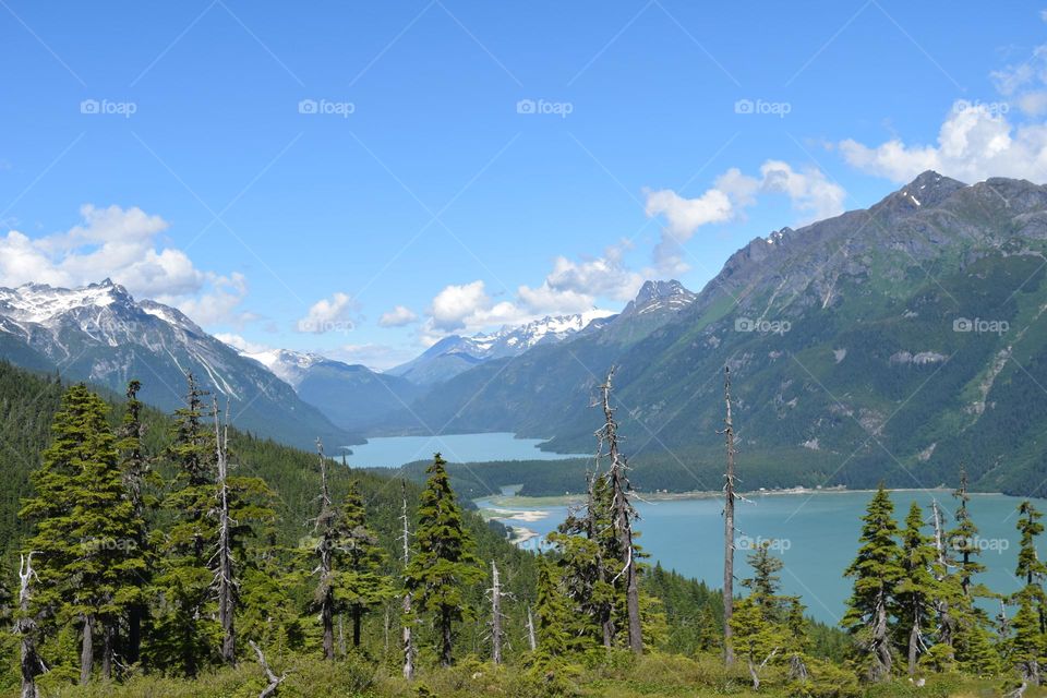 Incredibly steep mountains and deep pools of glacier run off create a striking view at a scenic hilltop above Haines Alaska