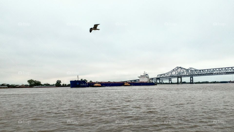 cargo ship coming into New Orleans on the Mississippi River