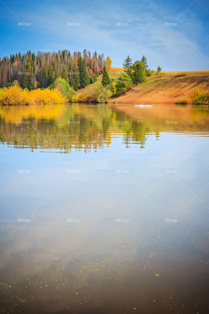 Autumn landscape with the lake