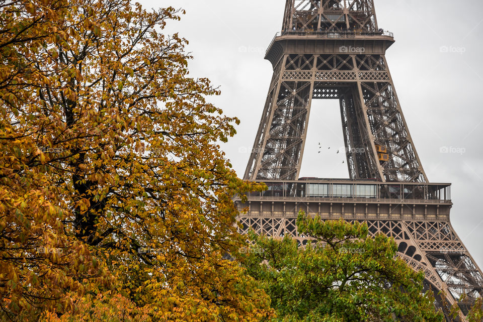 Autumn in Paris 
