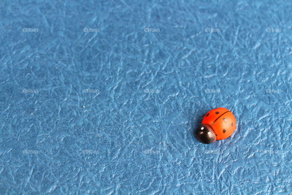 ladybug miniature