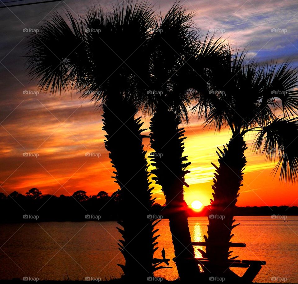 Silhouette of palm trees at beach during sunset