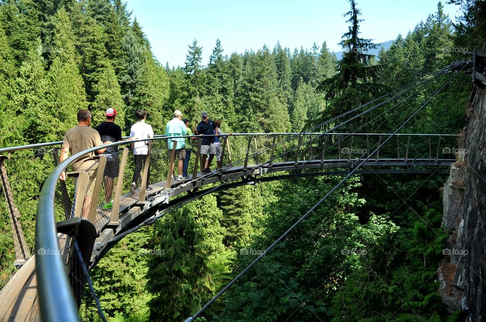 Hiking high above the trees