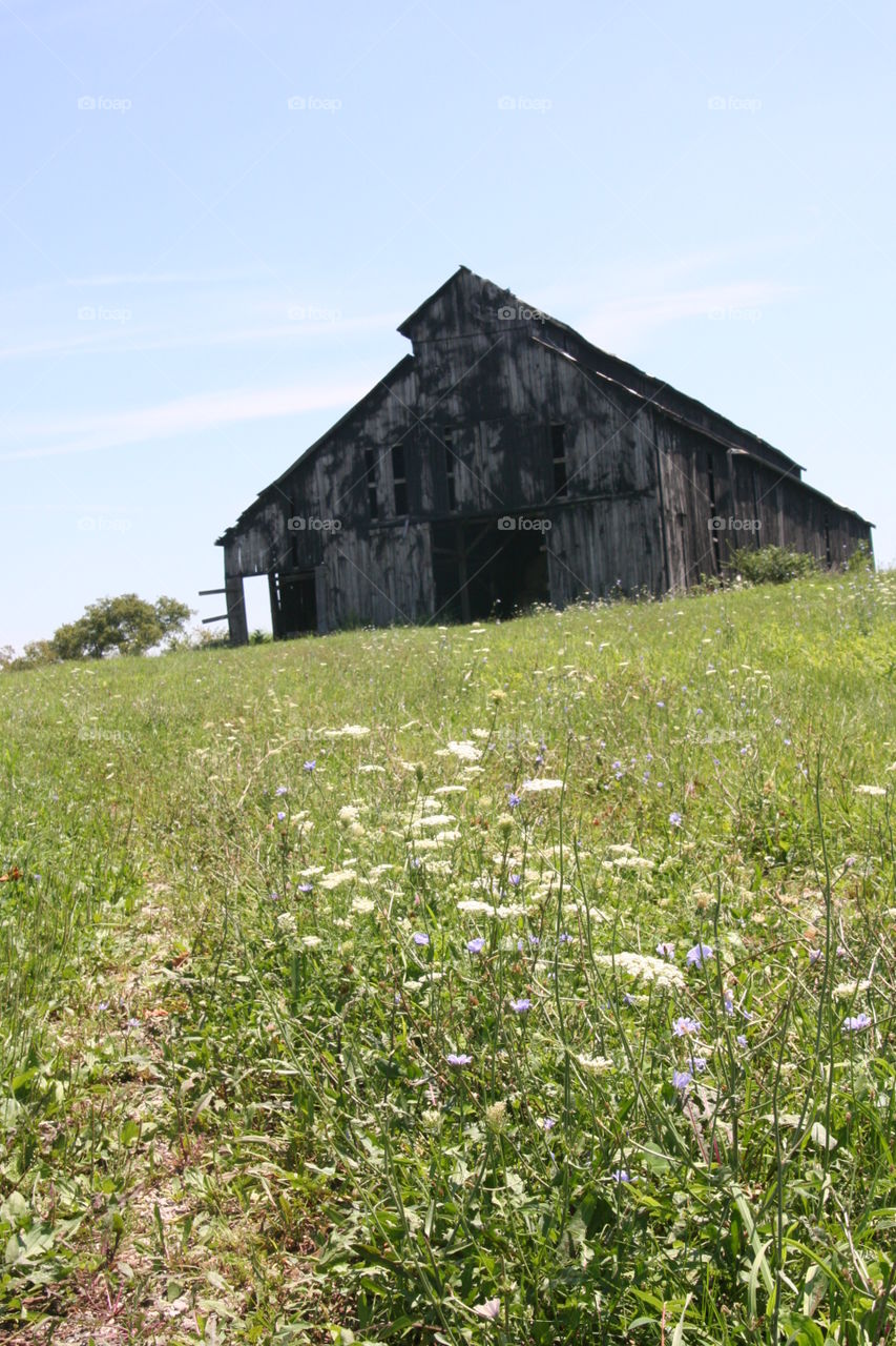 Barns