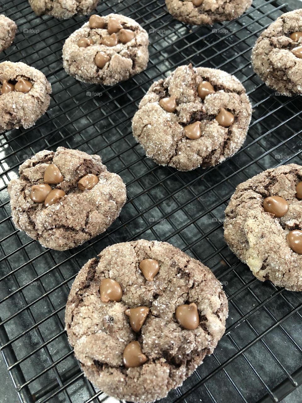 Chocolate Cookies