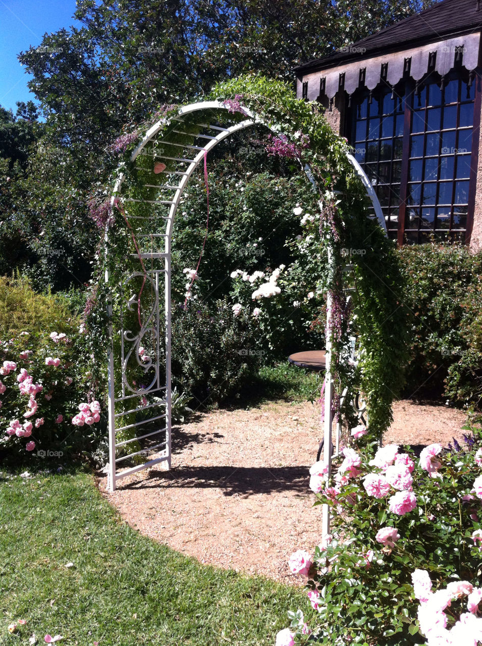 wedding south africa flower arch by nmcl