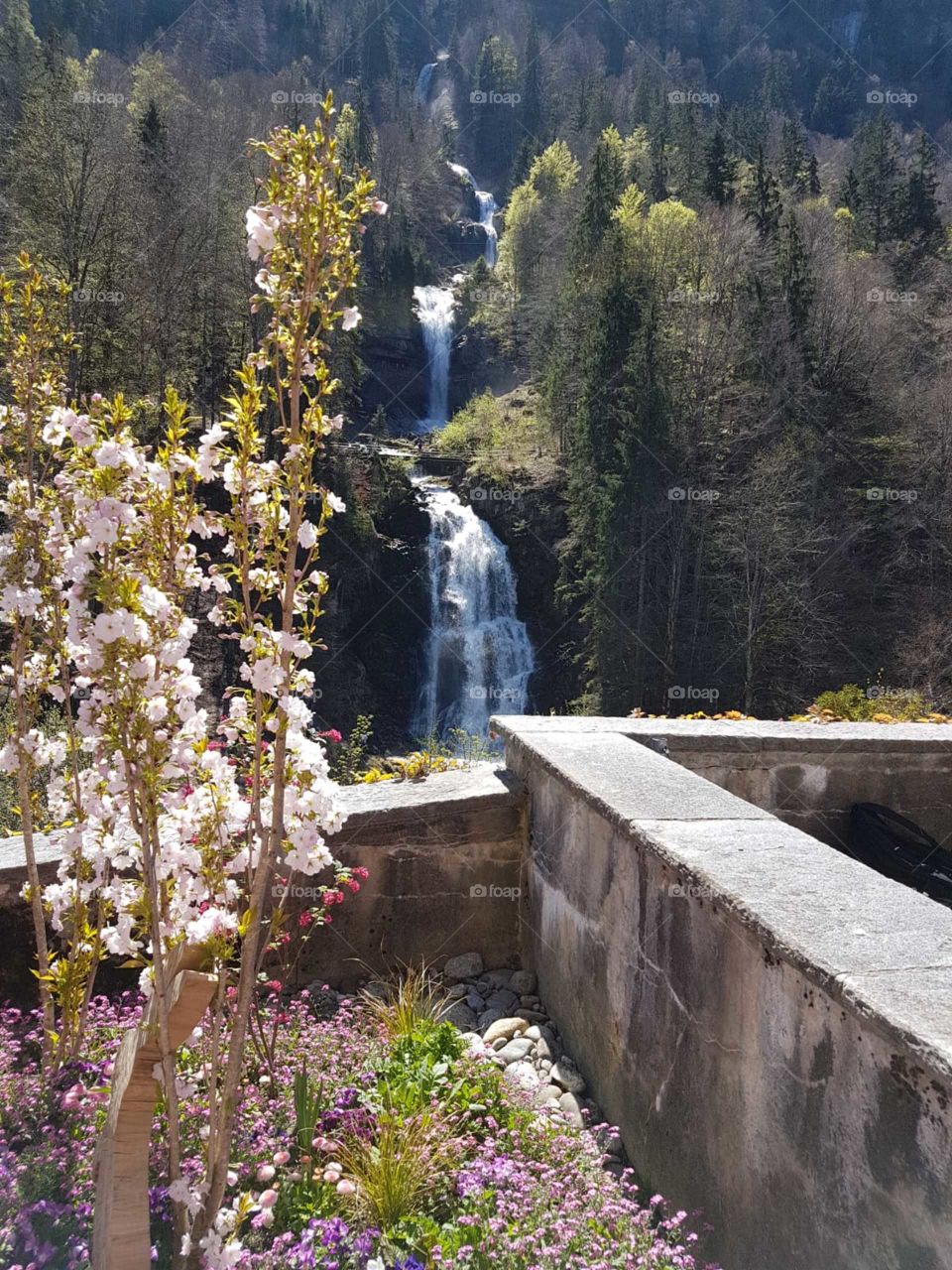 Waterfall in Switzerland 