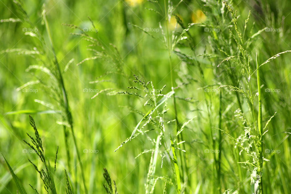 Texture, background, splash, abstraction, grass, lawn