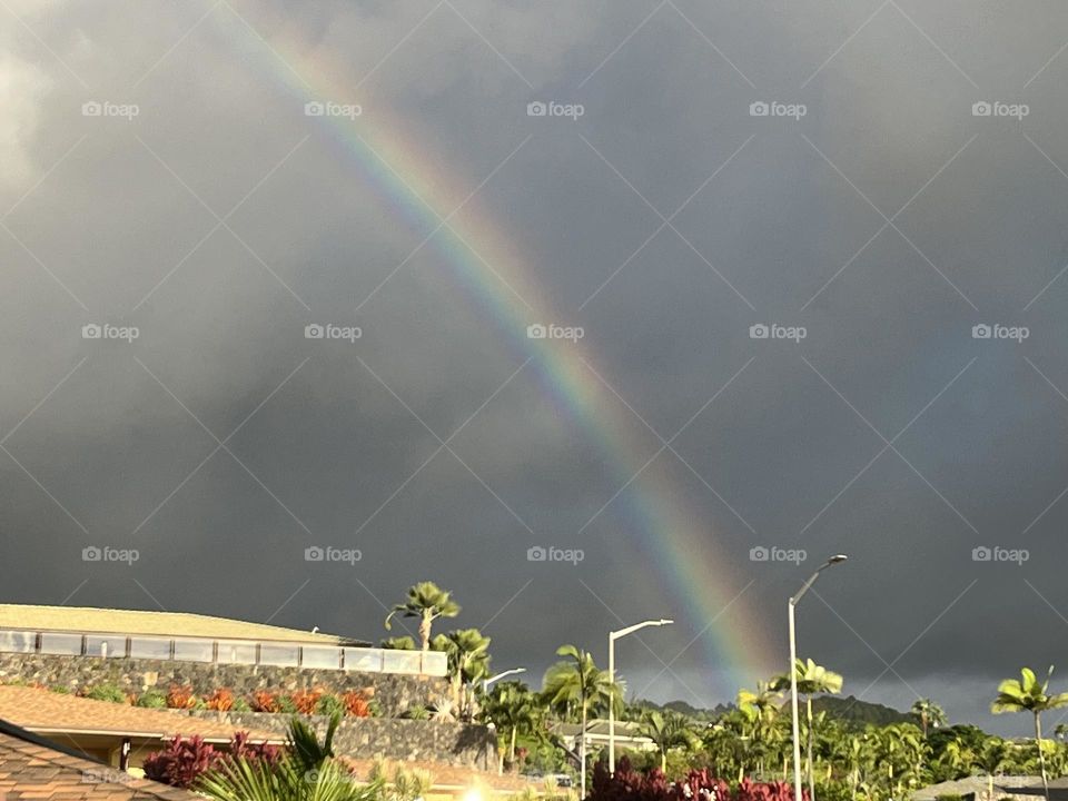 Beautiful Hawaiian Rainbow 