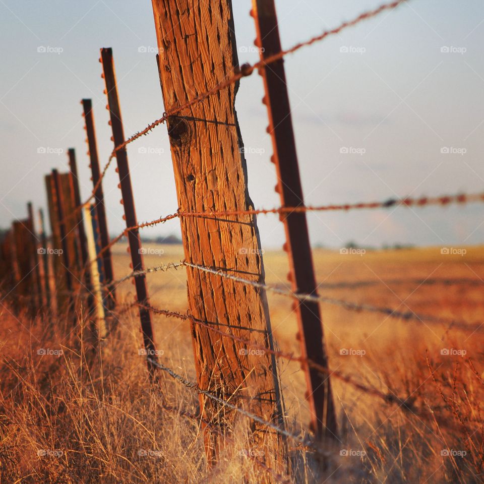 country fence