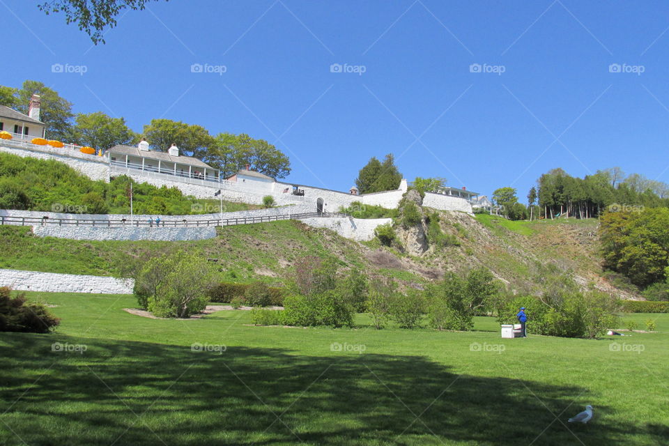 Landscape, Tree, Grass, House, Hill