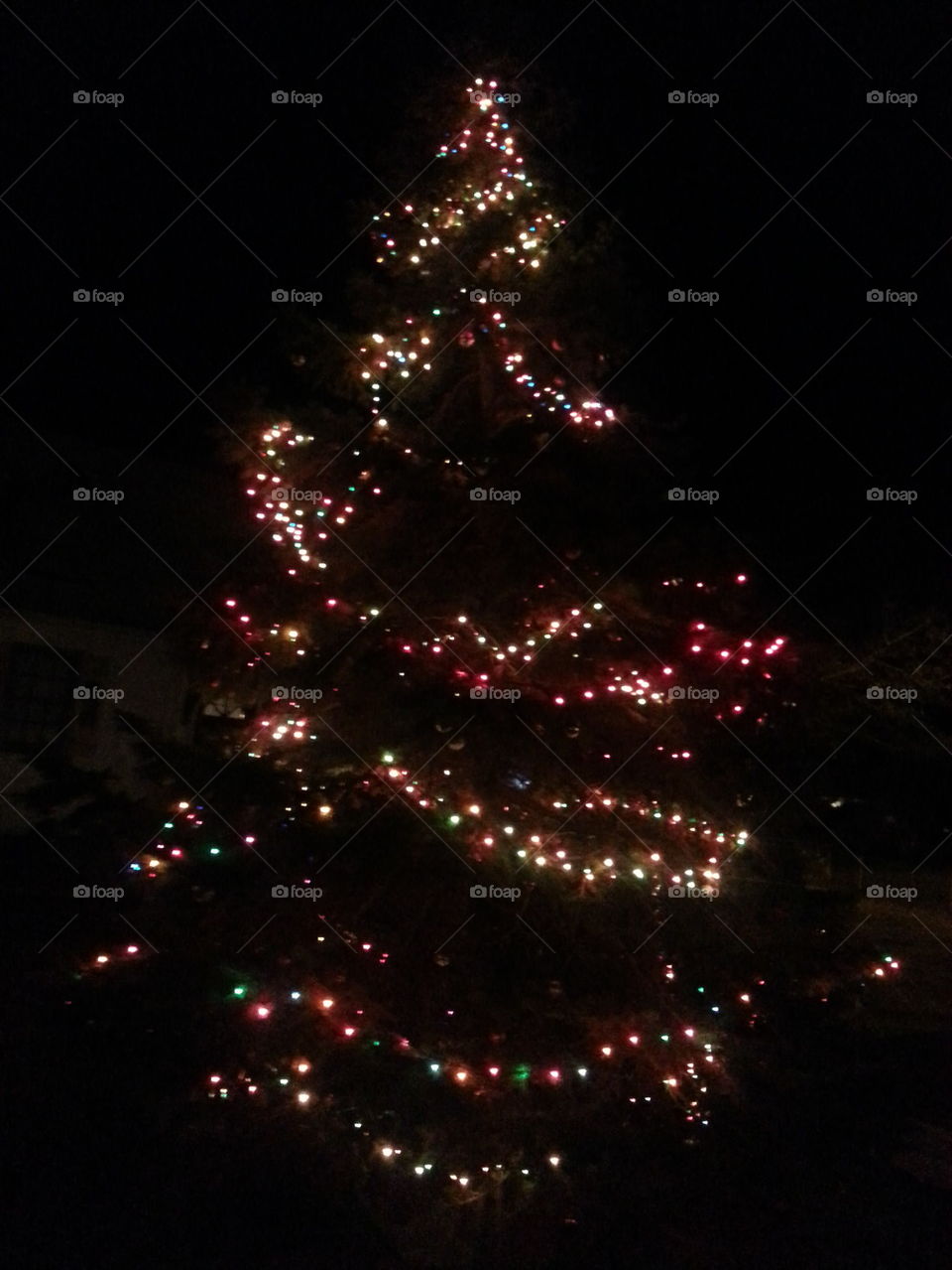 Christmas tree lights at night