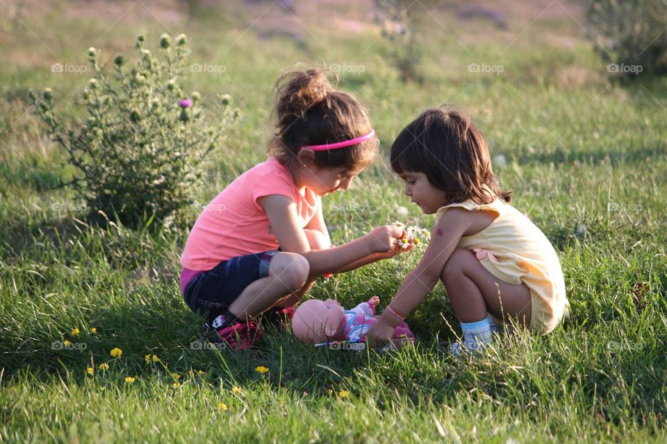 Cute little girls are playing on a meadow