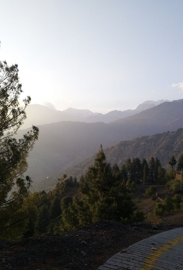 mount of hill green