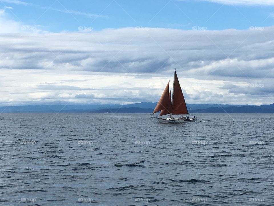 Sailboat at sea