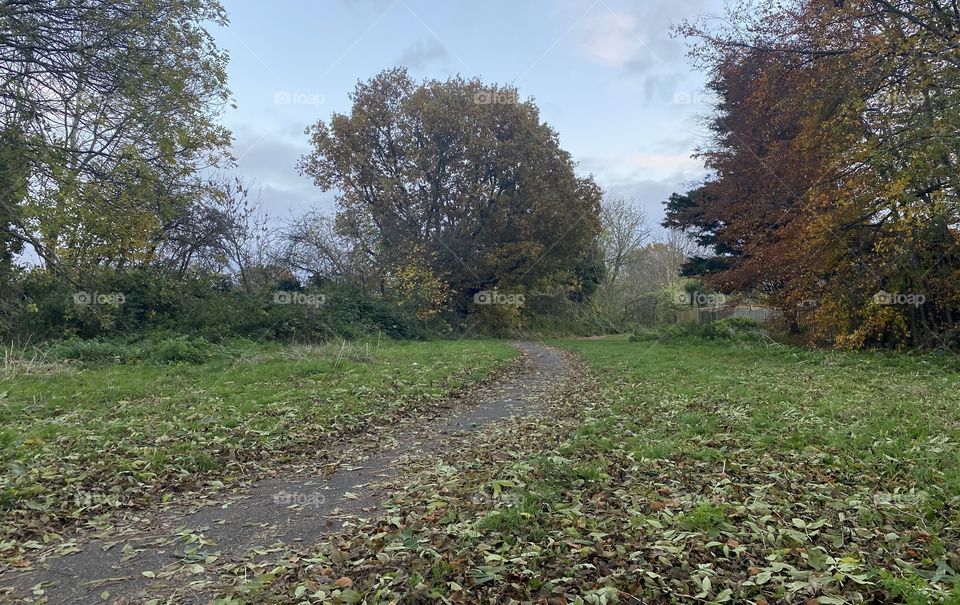 The colors of autumn 