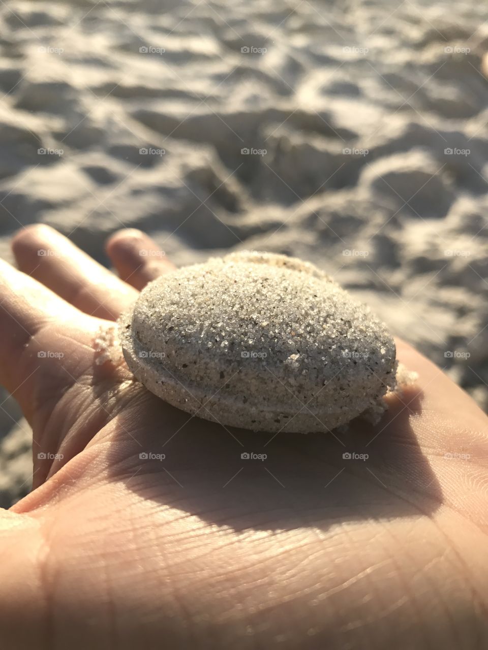 Sand Macaroon