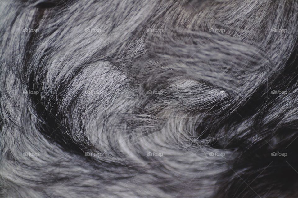 Fur texture