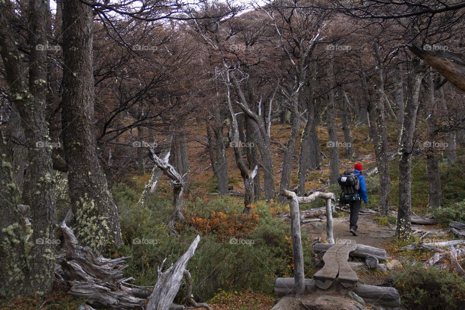 Let's go on a hike.