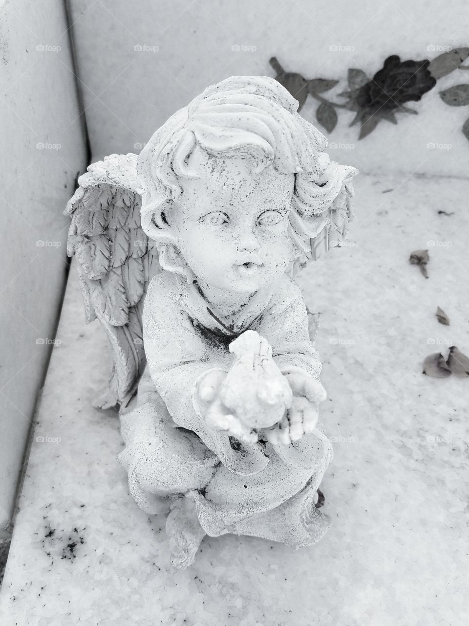 Cherub