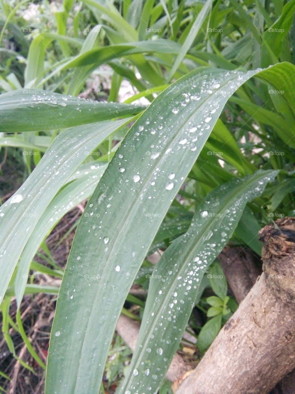 A great photo, a photo for everyone,a memorable photo,a no. photo,a photo to cherish,a beautiful photo,a great photo for the best people,an evergreen photo,a photo to remember for years, the best result of great photography