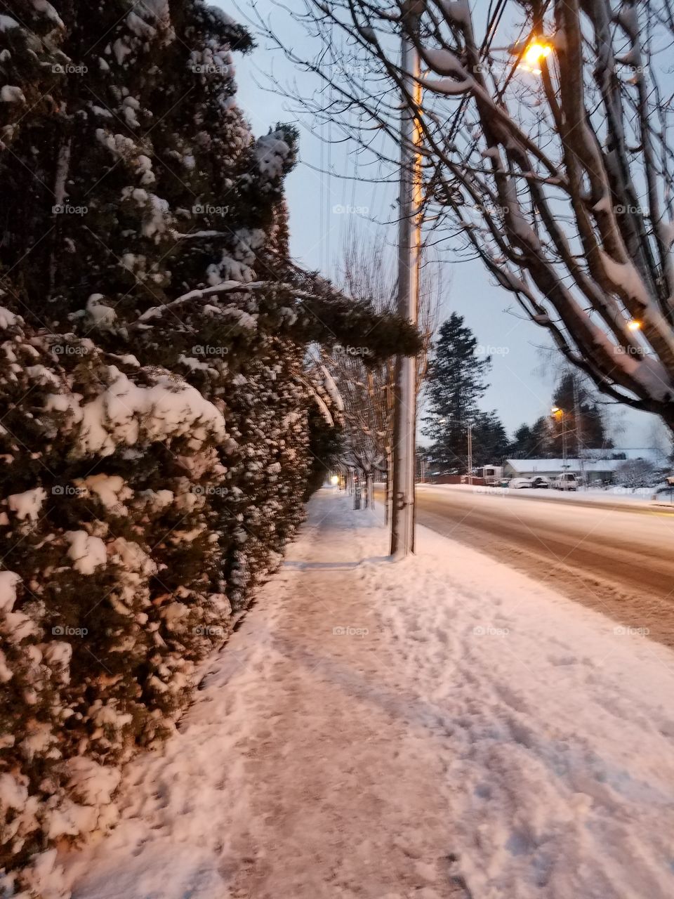 snow side walk