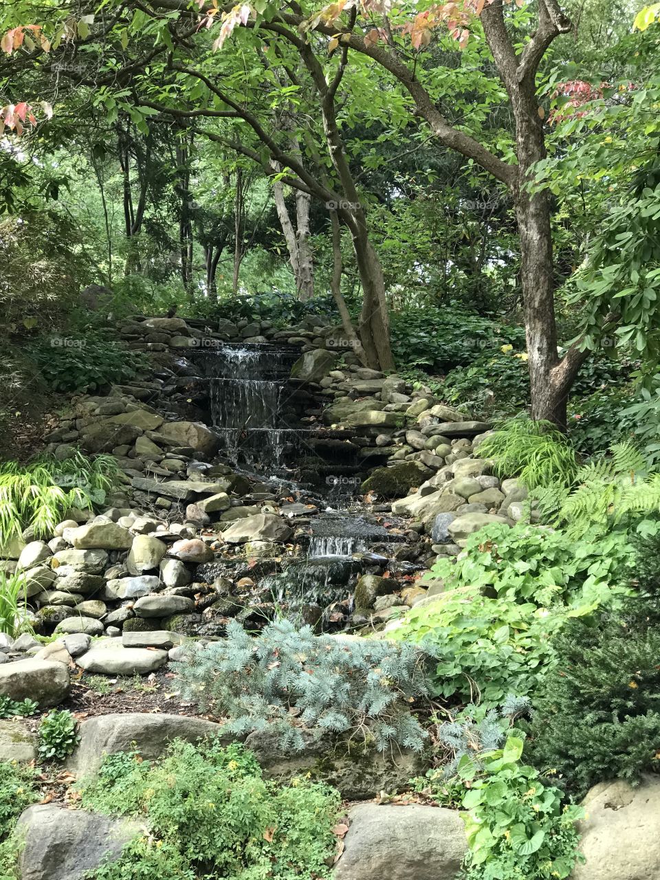 A trickling mini waterfall on Campus. A serene place to sit and watch. 
