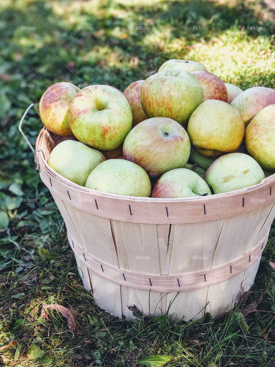 A basket full of apples