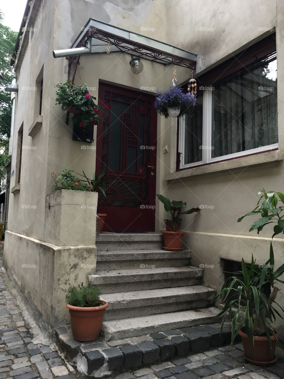 Rainy days keep my mood dandy