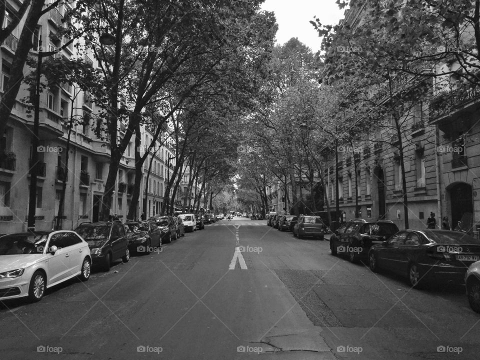 A Parisian boulevard  