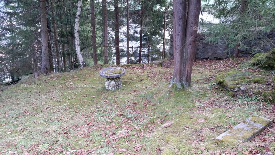 stone table forest