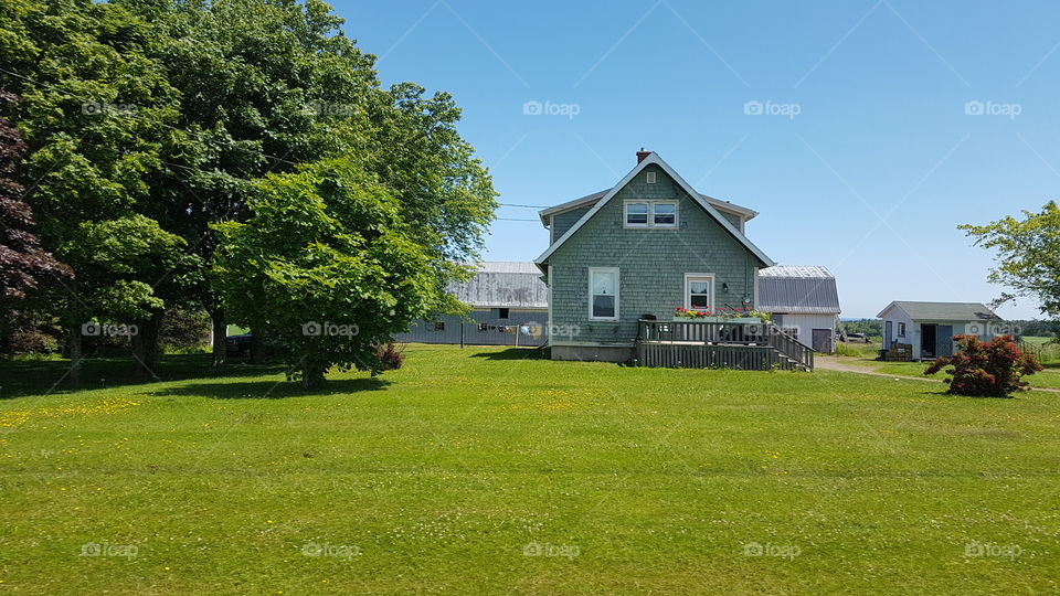 A lovely and green farmhouse in the area of Cavendish, P.E.I., Canada