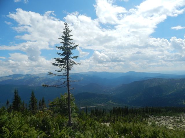 The beauty of nature