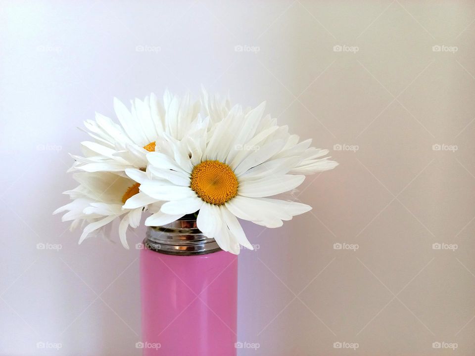 bouquet of daisies in a pink vase.