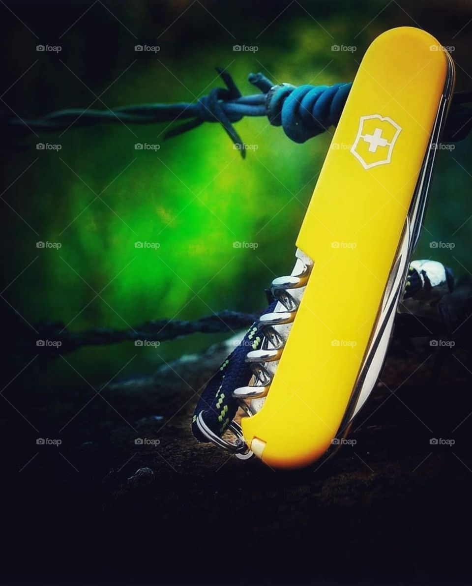 Victorinox