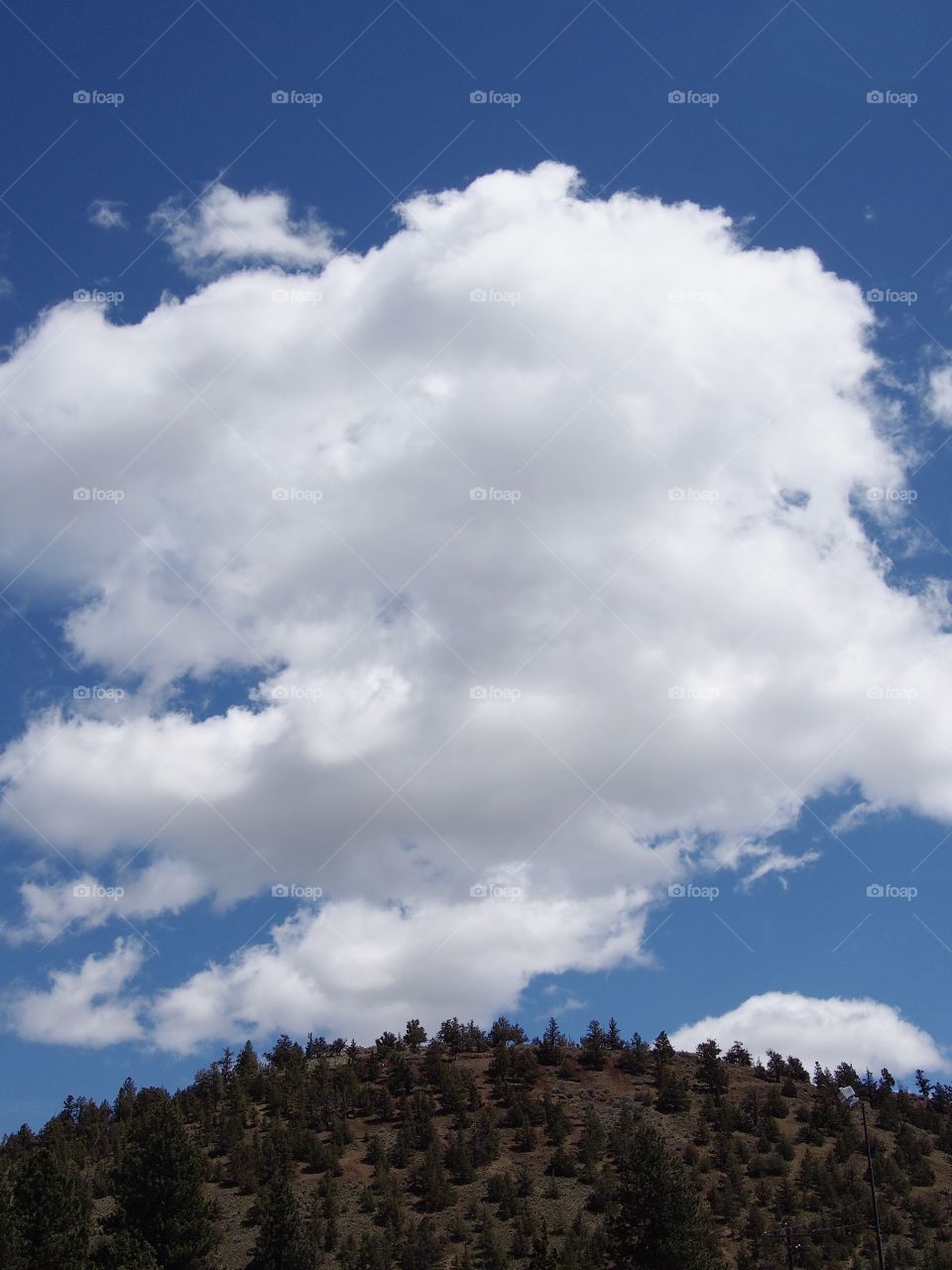 A large fluffy white cloud in a rich blue sky glides over Pilot Butte in Bend in Central Oregon on a sunny summer day. 