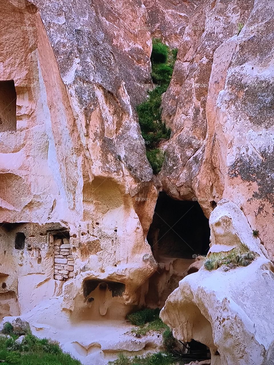 Awesome Turkey Mount