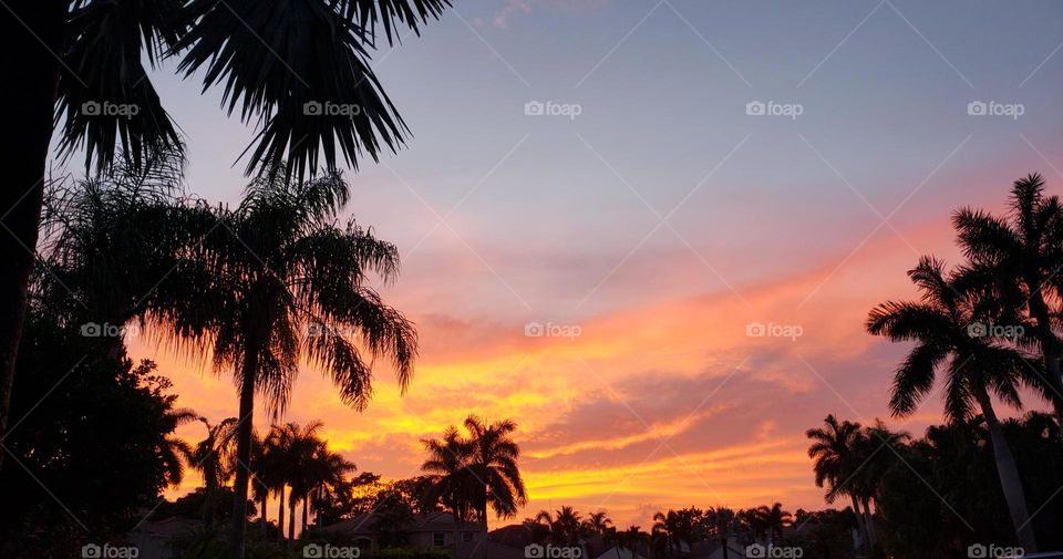 sunset after the rains