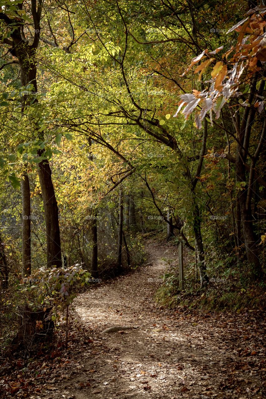 Foap, Autumn Hiking in the USA: A winding natural path through the forest at Yates Mill County Park, Raleigh, North Carolina. 