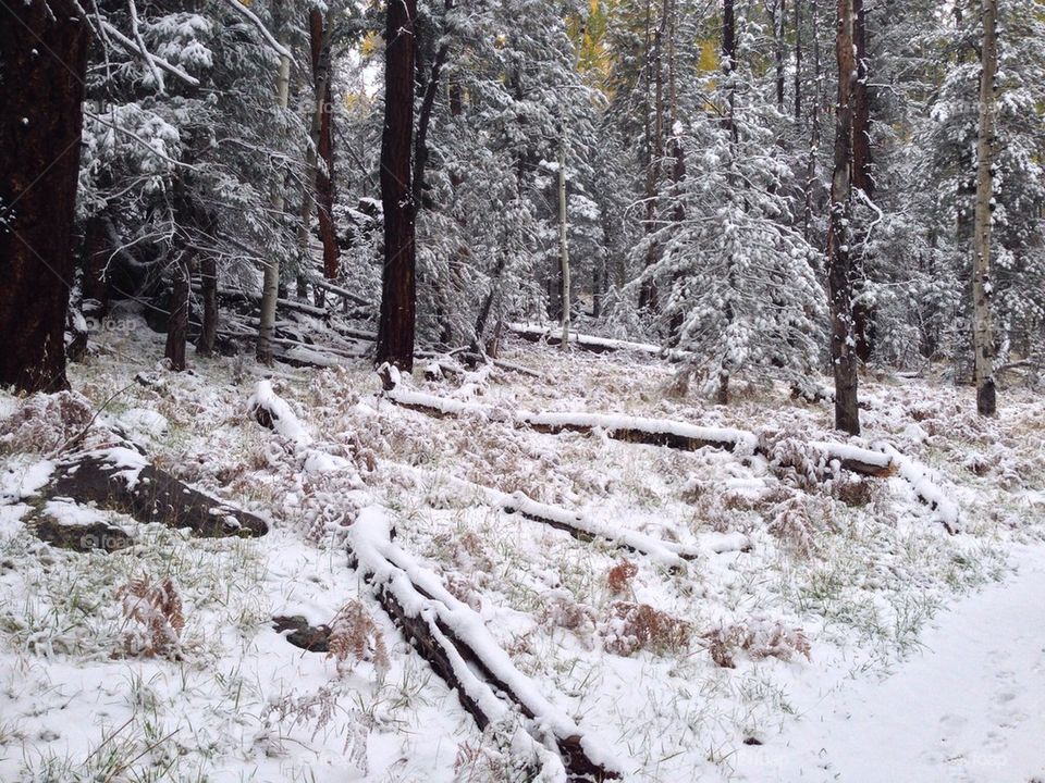 First snow of the season