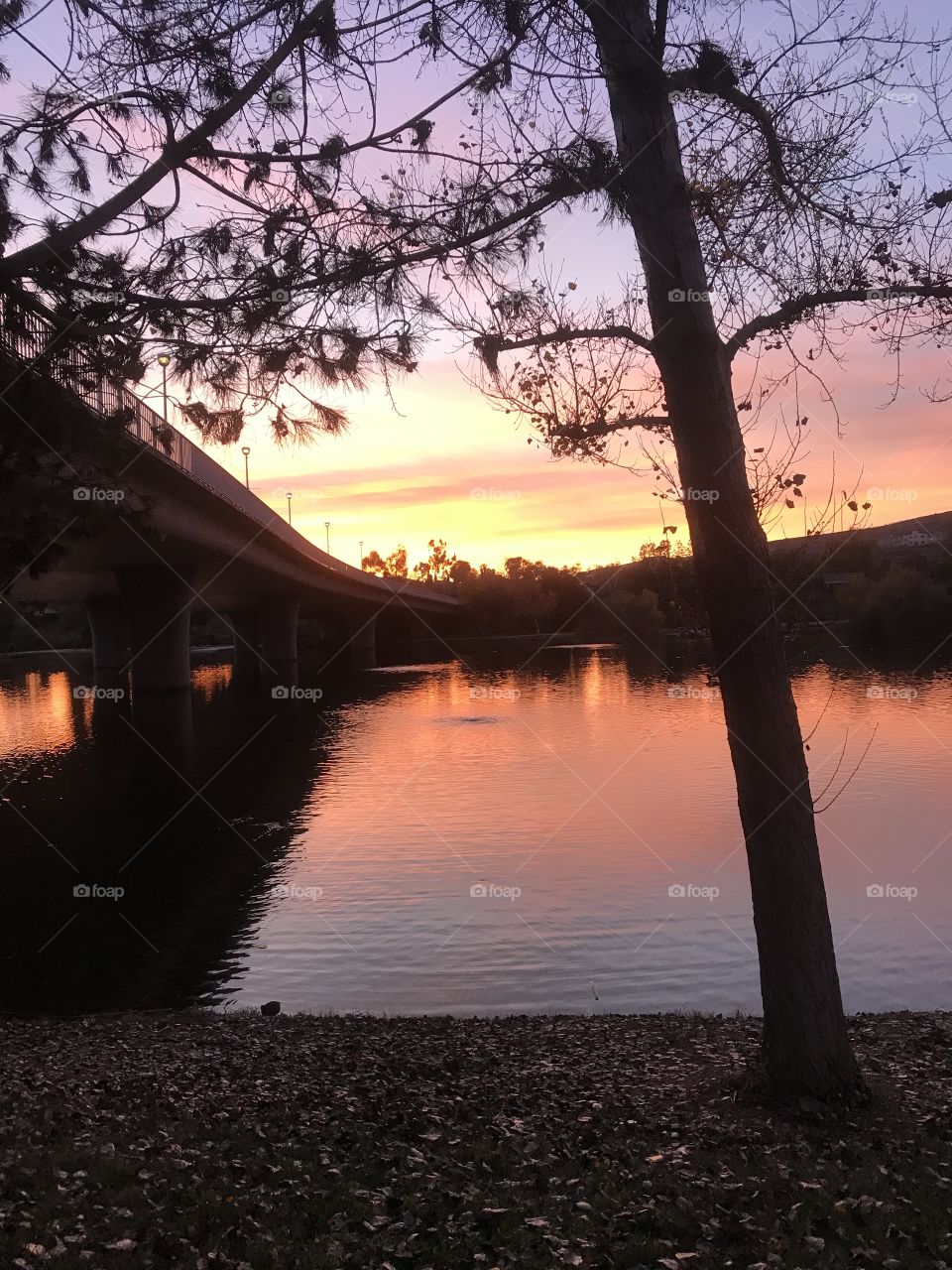 Beautiful San Diego sunset
