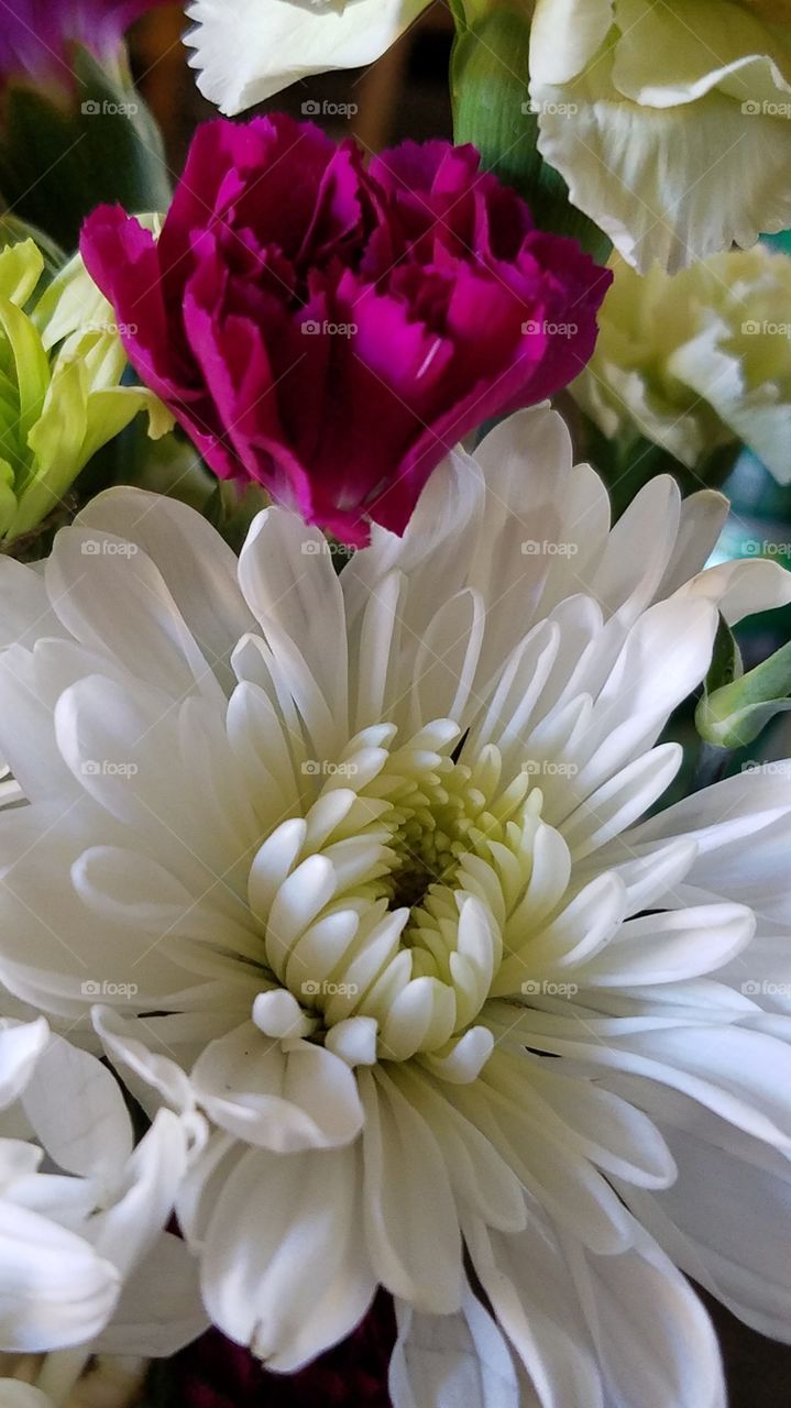 Birthday Flowers