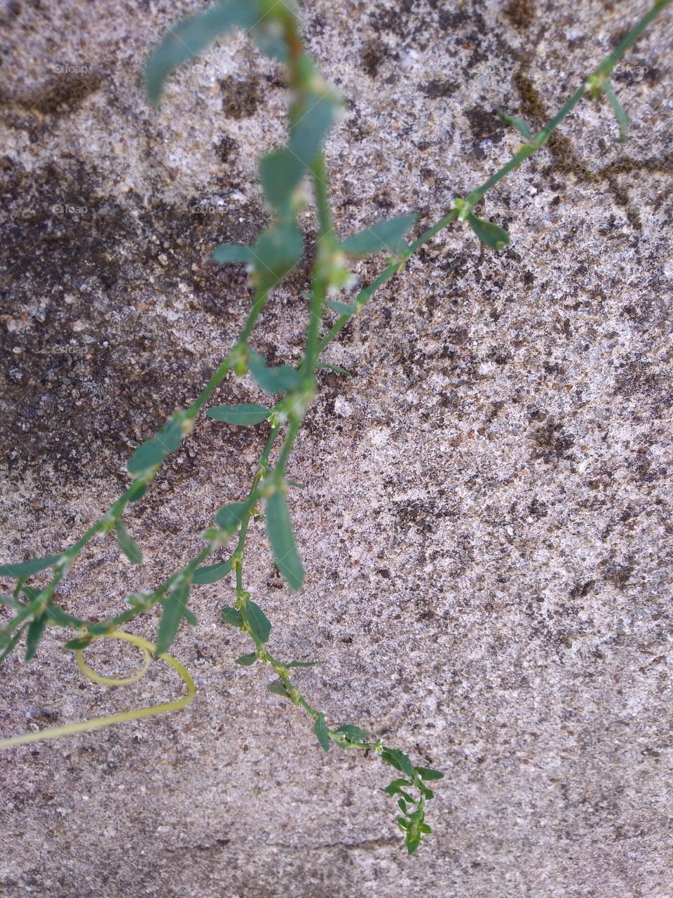 Best of 2021: Nature