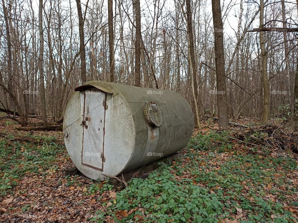 A huge barrel in the forest