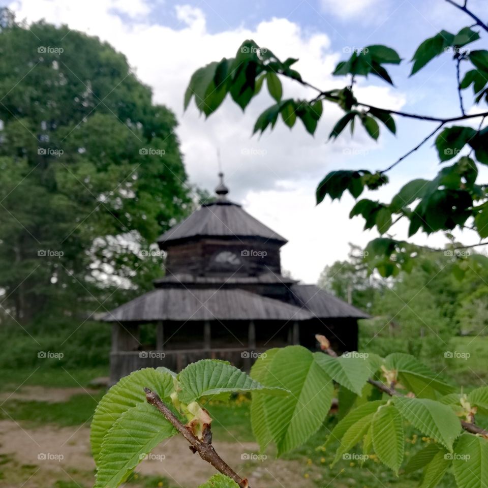 Тверская область, Россия