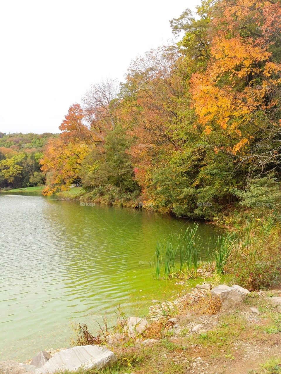 Twin Lakes in autumn