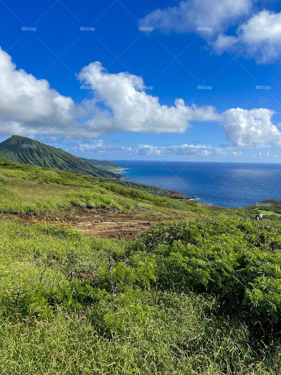 Beautiful view along the coast of Oahu from Hanauma Bay Ridge Trail in Hawaii Kai